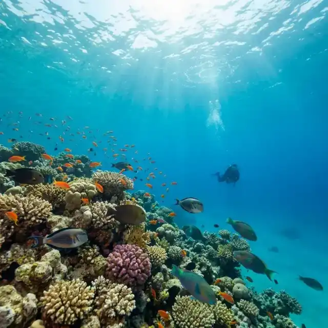 Hurghada im Juli: Der ultimative Sommer-Guide (Hitze, Meer & Tipps)